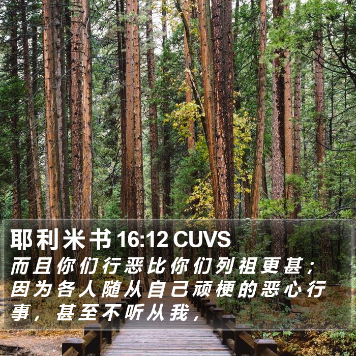 耶 利 米 书 16:12 CUVS Bible Study