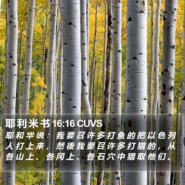 耶 利 米 书 16:16 CUVS Bible Study