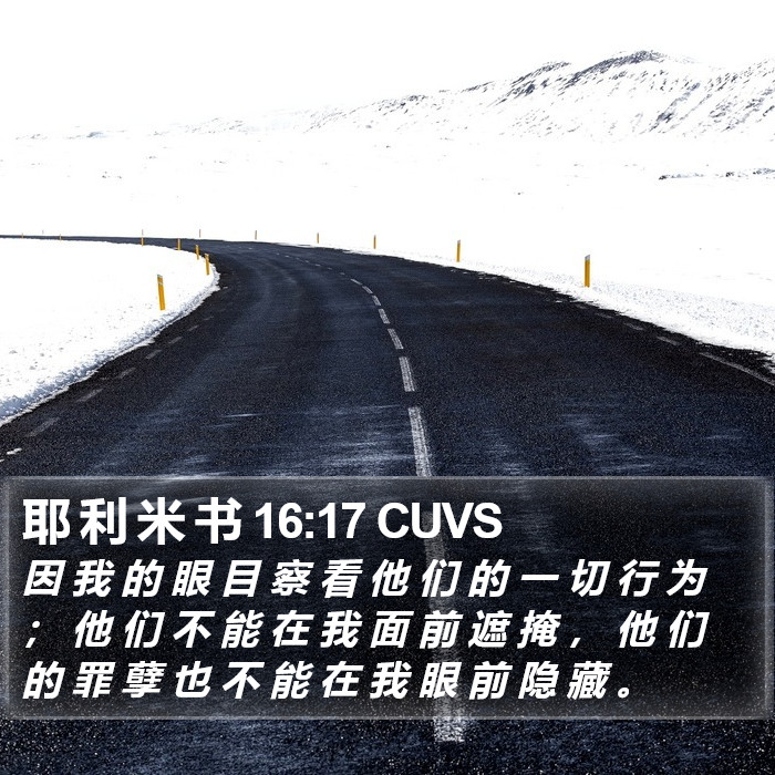 耶 利 米 书 16:17 CUVS Bible Study