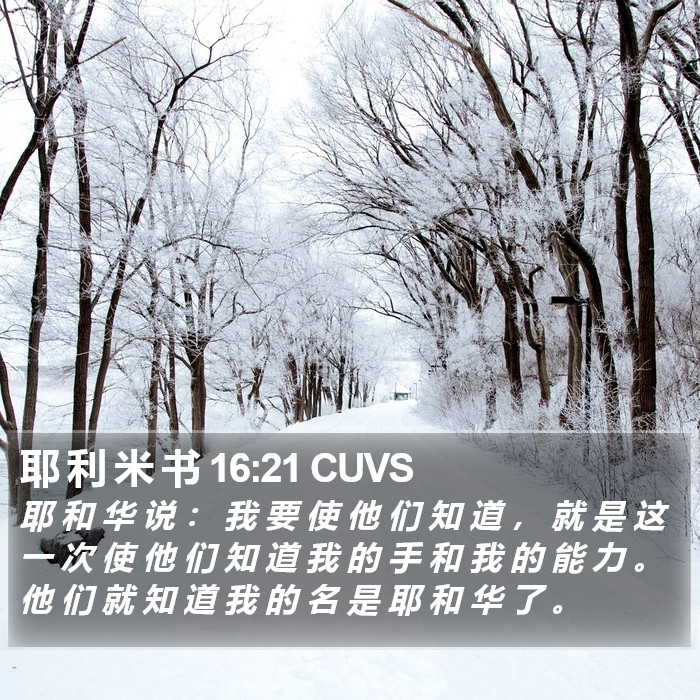 耶 利 米 书 16:21 CUVS Bible Study
