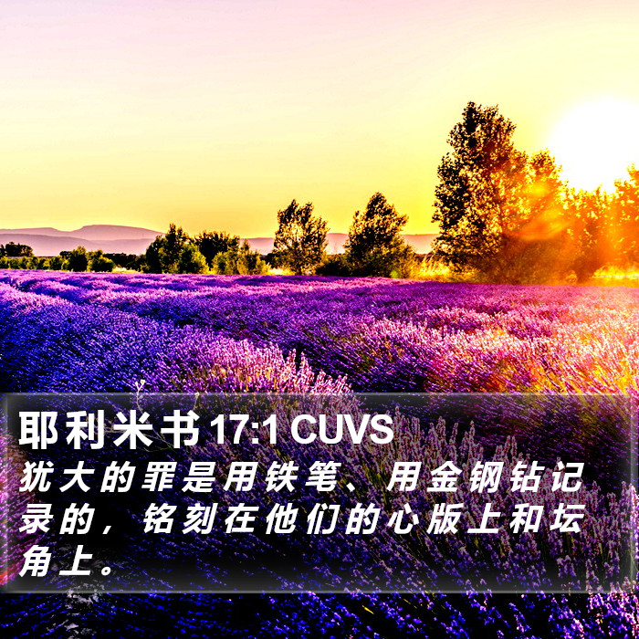 耶 利 米 书 17:1 CUVS Bible Study