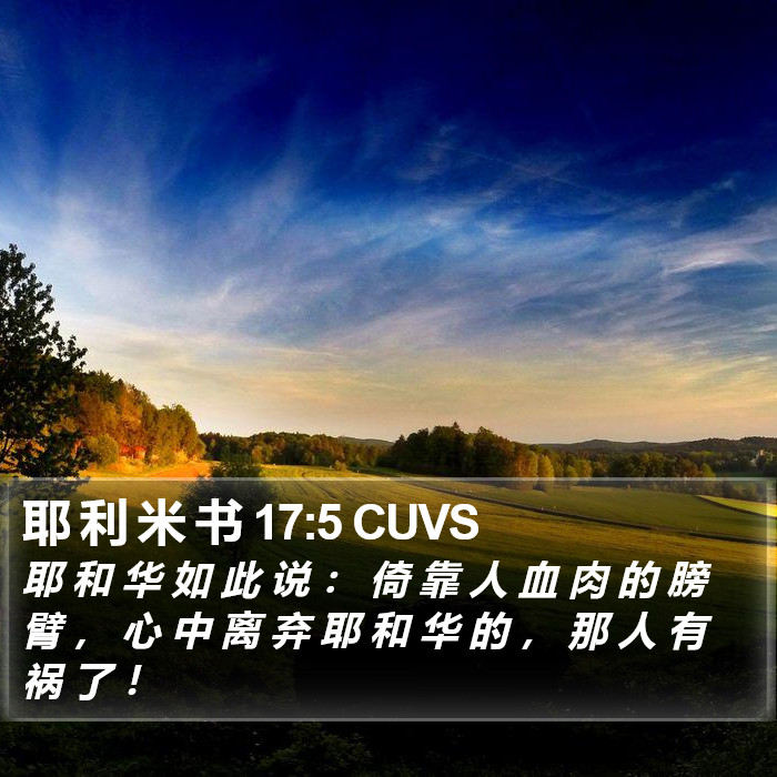 耶 利 米 书 17:5 CUVS Bible Study