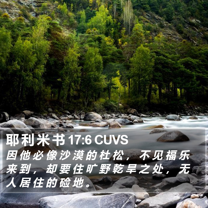 耶 利 米 书 17:6 CUVS Bible Study