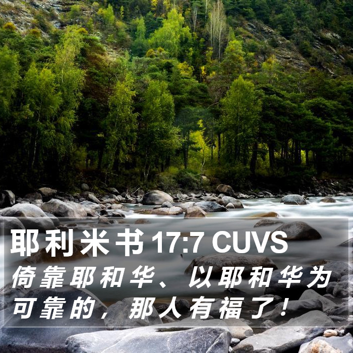 耶 利 米 书 17:7 CUVS Bible Study