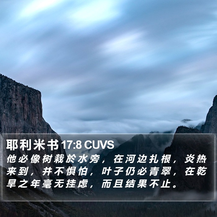 耶 利 米 书 17:8 CUVS Bible Study