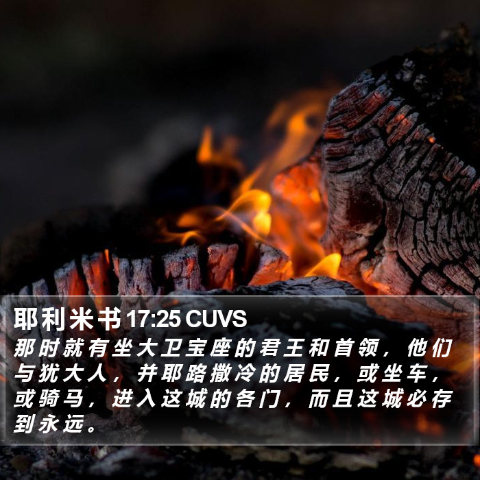 耶 利 米 书 17:25 CUVS Bible Study