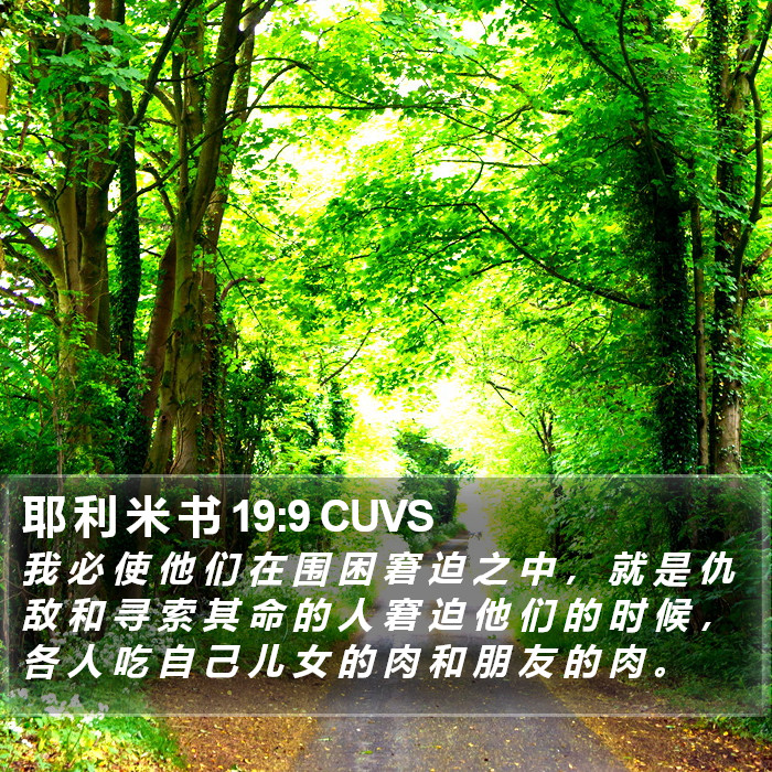 耶 利 米 书 19:9 CUVS Bible Study