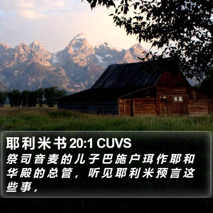 耶 利 米 书 20:1 CUVS Bible Study