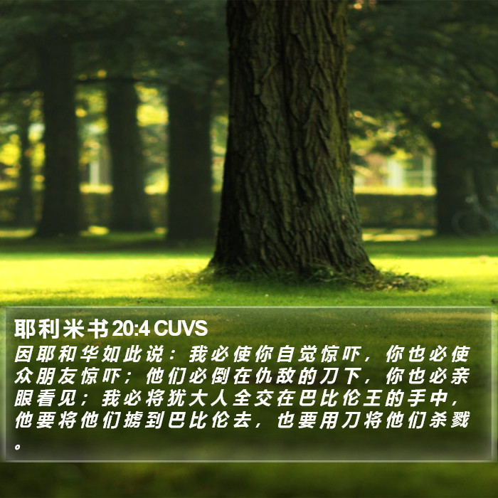 耶 利 米 书 20:4 CUVS Bible Study