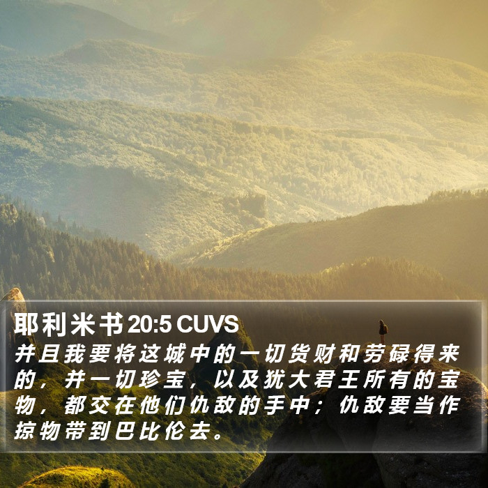 耶 利 米 书 20:5 CUVS Bible Study