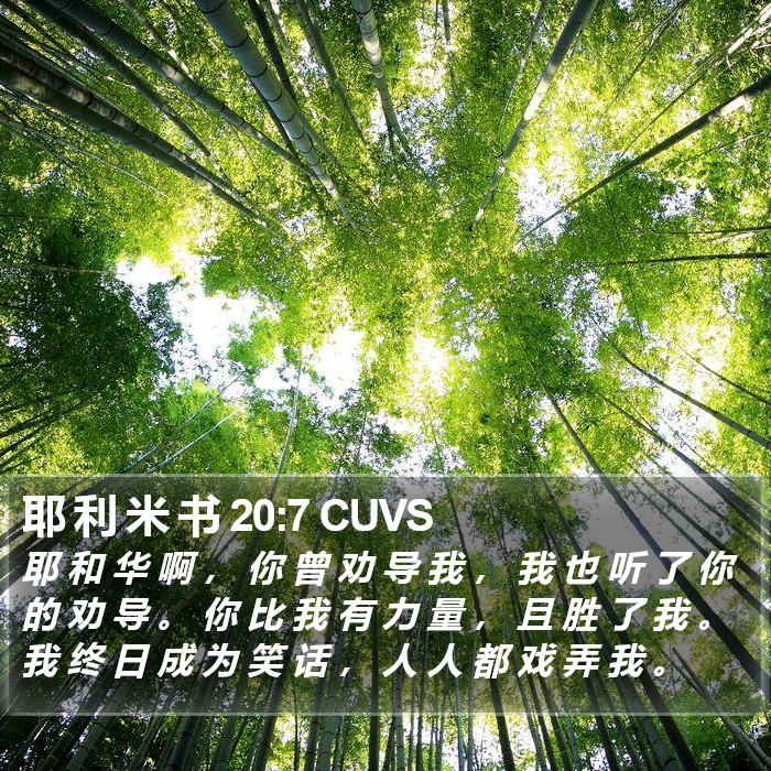 耶 利 米 书 20:7 CUVS Bible Study