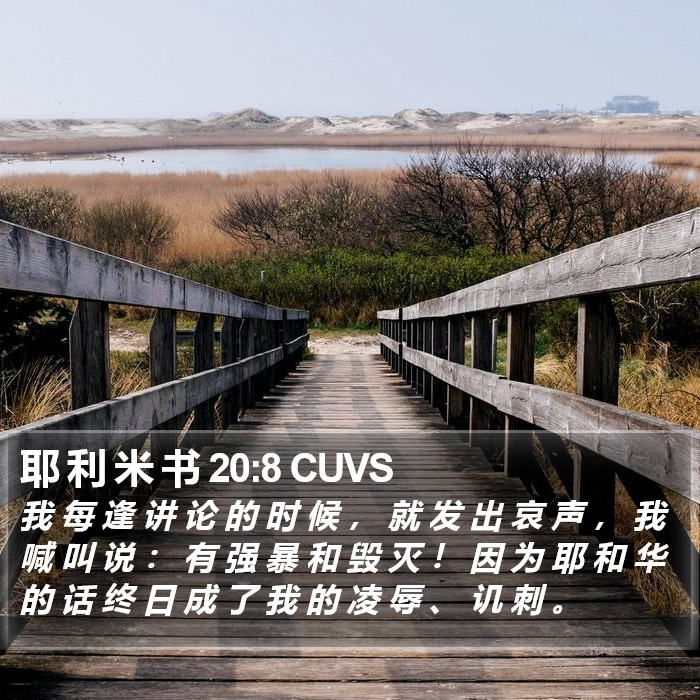 耶 利 米 书 20:8 CUVS Bible Study