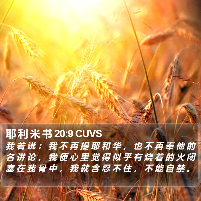 耶 利 米 书 20:9 CUVS Bible Study