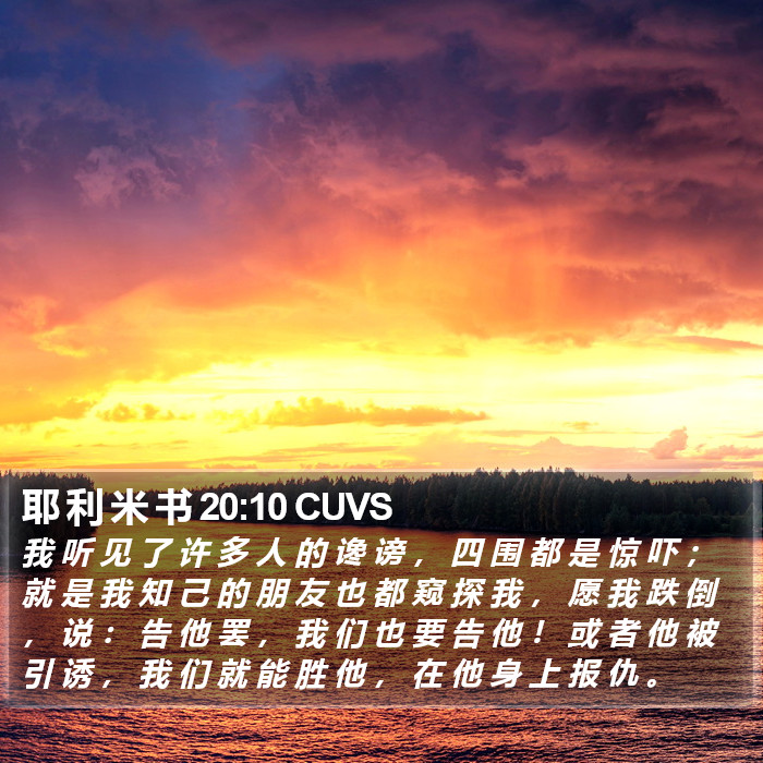 耶 利 米 书 20:10 CUVS Bible Study