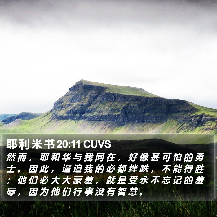 耶 利 米 书 20:11 CUVS Bible Study