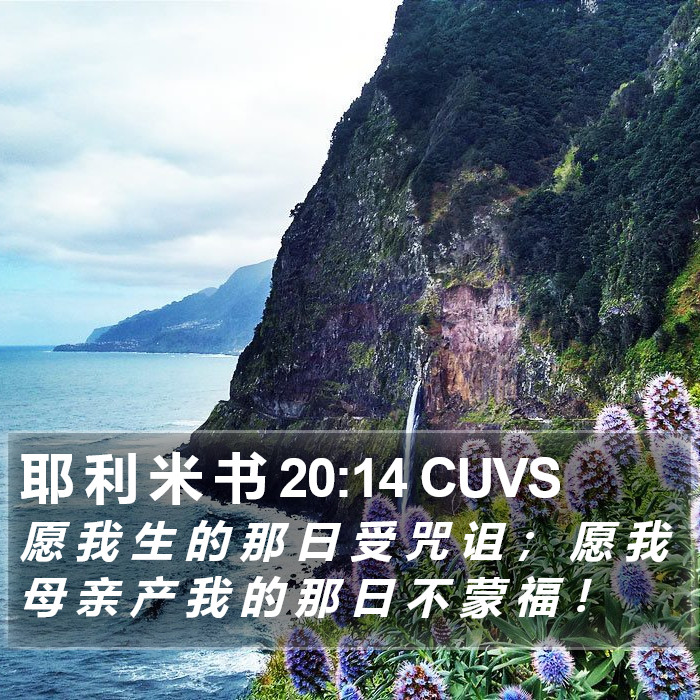 耶 利 米 书 20:14 CUVS Bible Study