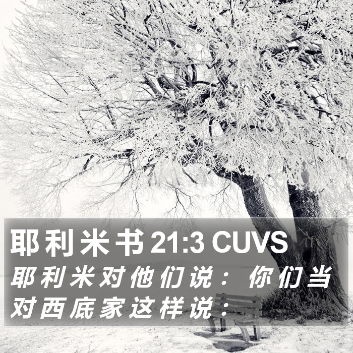 耶 利 米 书 21:3 CUVS Bible Study