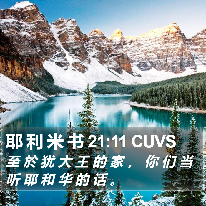 耶 利 米 书 21:11 CUVS Bible Study