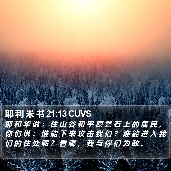 耶 利 米 书 21:13 CUVS Bible Study