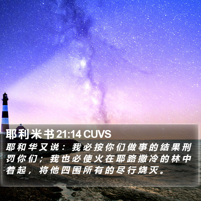 耶 利 米 书 21:14 CUVS Bible Study