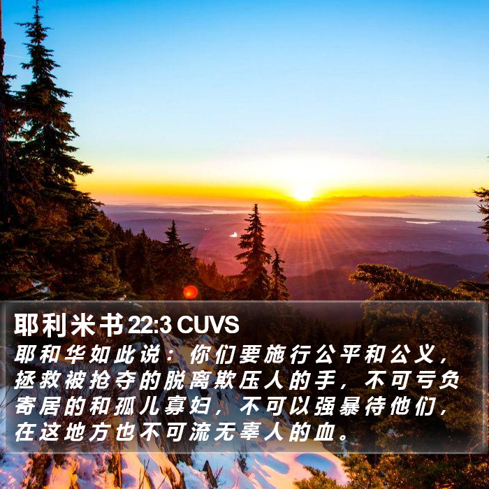 耶 利 米 书 22:3 CUVS Bible Study