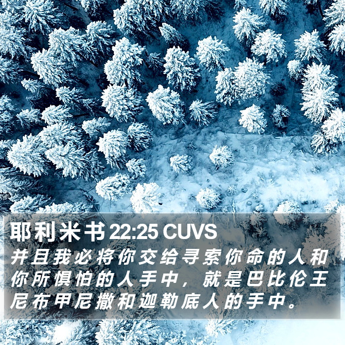 耶 利 米 书 22:25 CUVS Bible Study