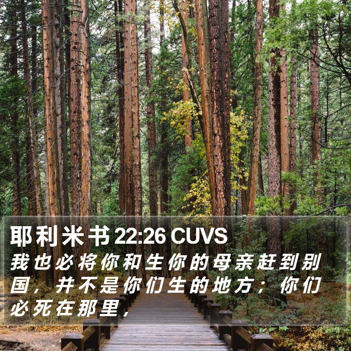 耶 利 米 书 22:26 CUVS Bible Study