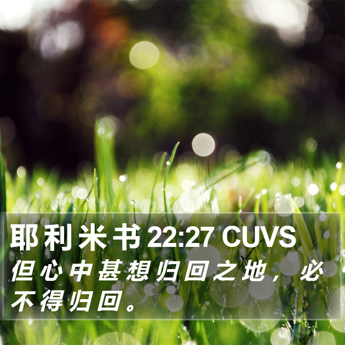 耶 利 米 书 22:27 CUVS Bible Study