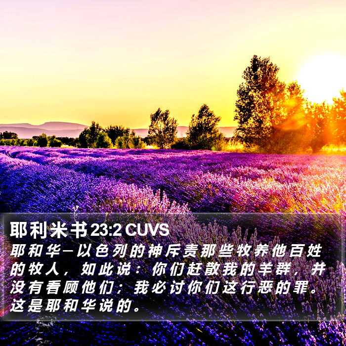 耶 利 米 书 23:2 CUVS Bible Study