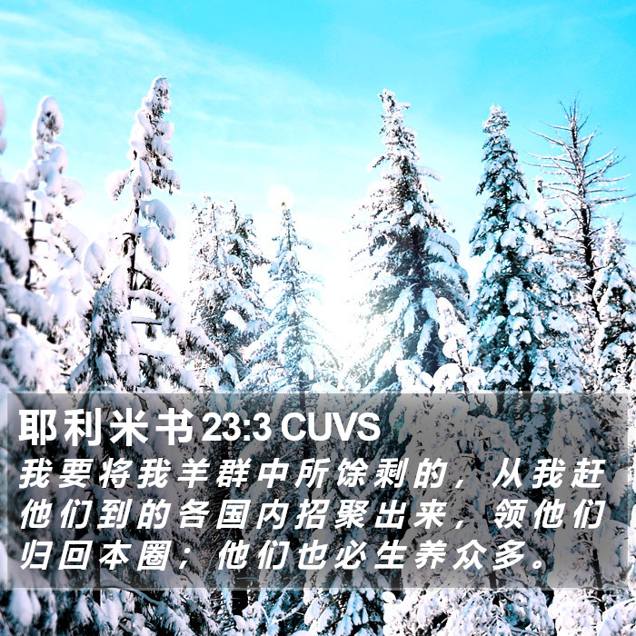 耶 利 米 书 23:3 CUVS Bible Study