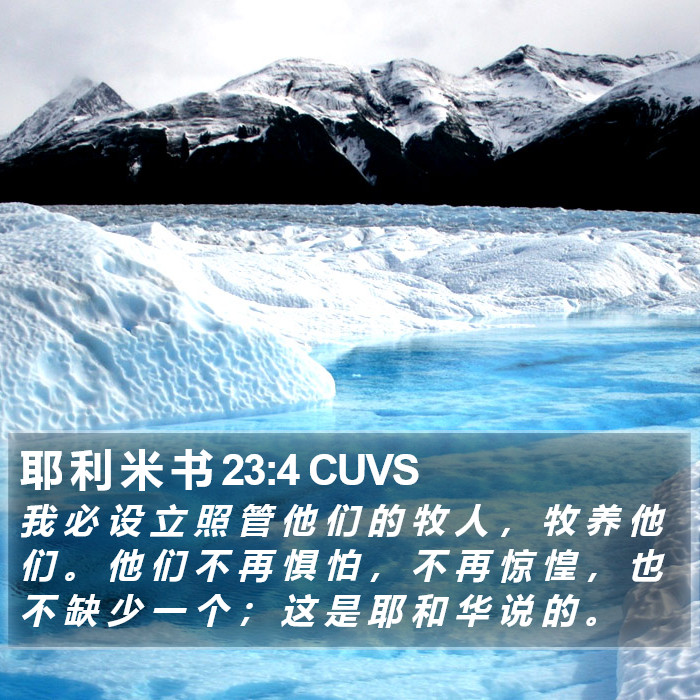 耶 利 米 书 23:4 CUVS Bible Study