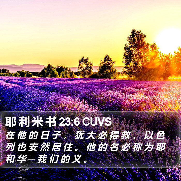 耶 利 米 书 23:6 CUVS Bible Study