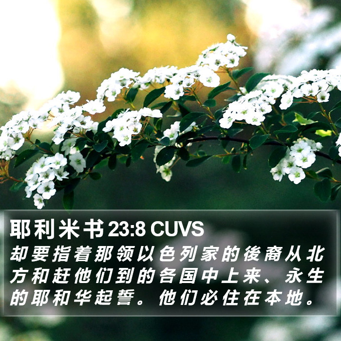 耶 利 米 书 23:8 CUVS Bible Study