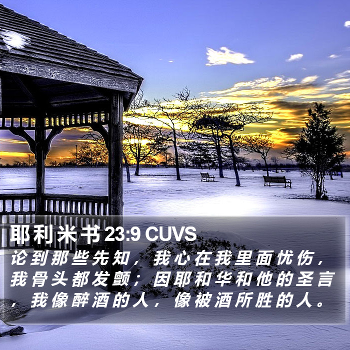 耶 利 米 书 23:9 CUVS Bible Study