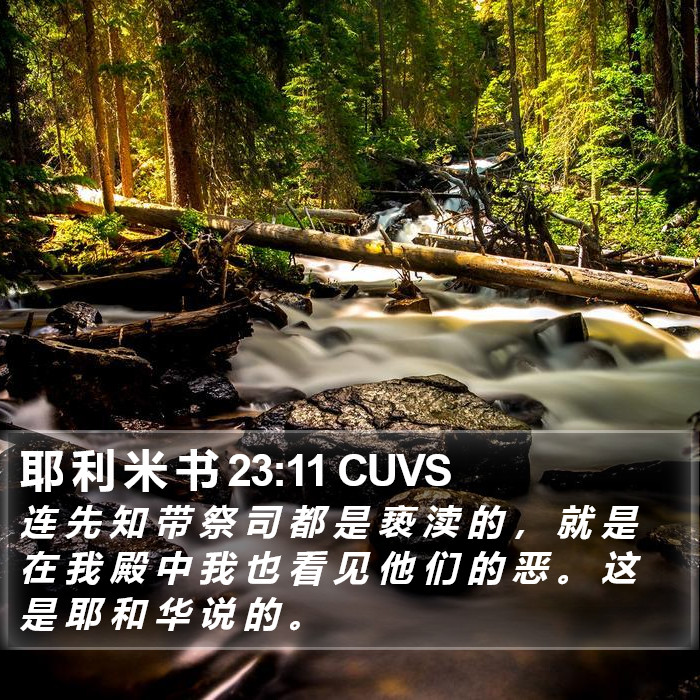 耶 利 米 书 23:11 CUVS Bible Study