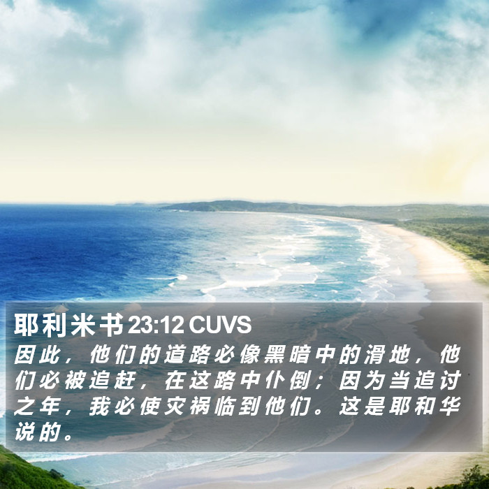 耶 利 米 书 23:12 CUVS Bible Study