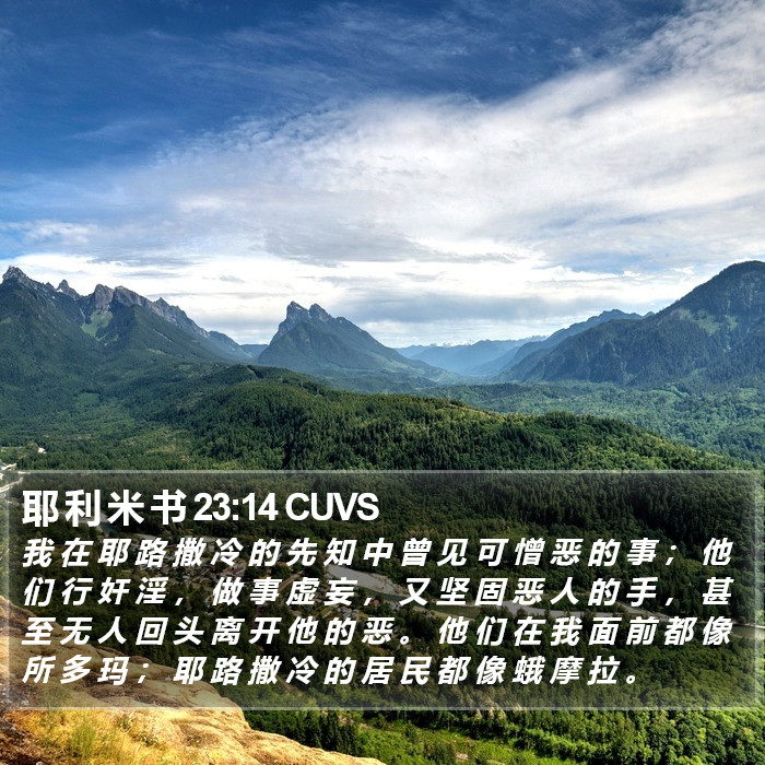 耶 利 米 书 23:14 CUVS Bible Study
