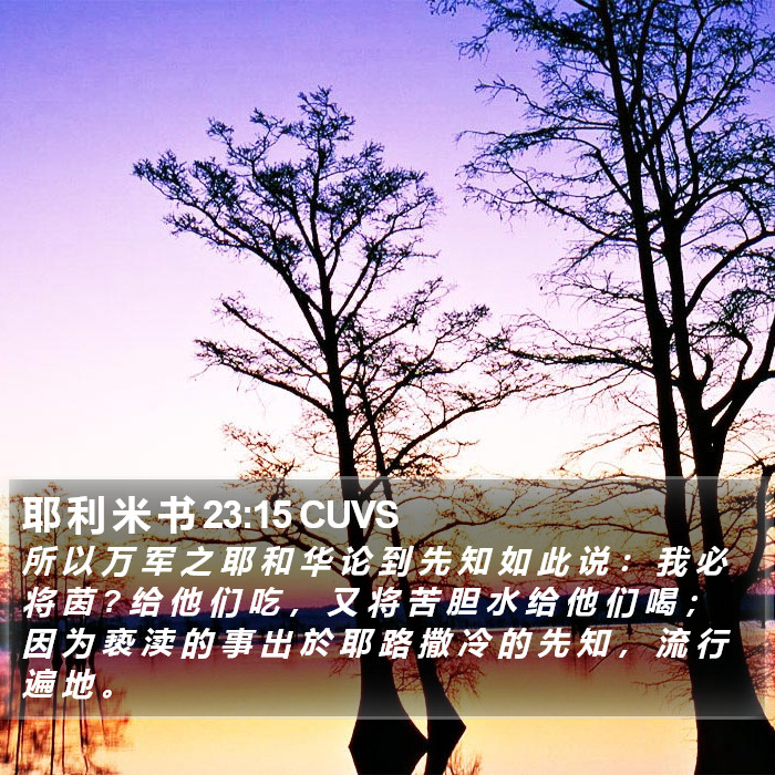 耶 利 米 书 23:15 CUVS Bible Study