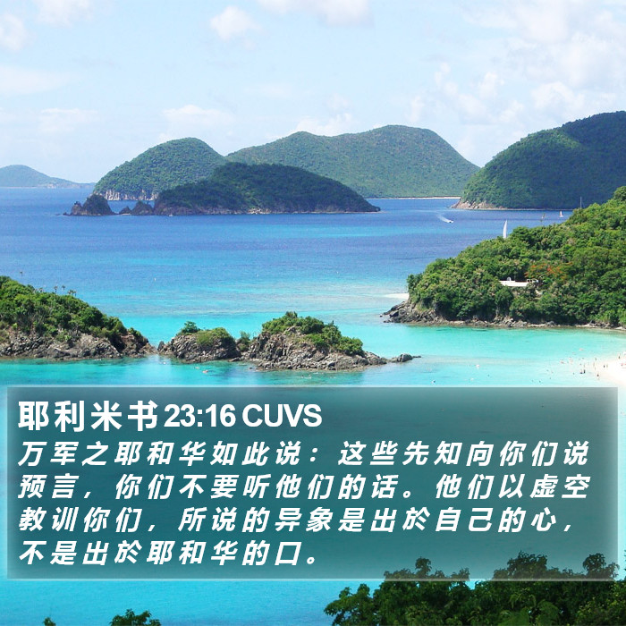 耶 利 米 书 23:16 CUVS Bible Study