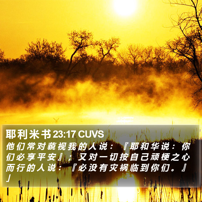 耶 利 米 书 23:17 CUVS Bible Study