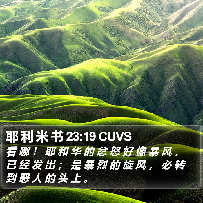 耶 利 米 书 23:19 CUVS Bible Study