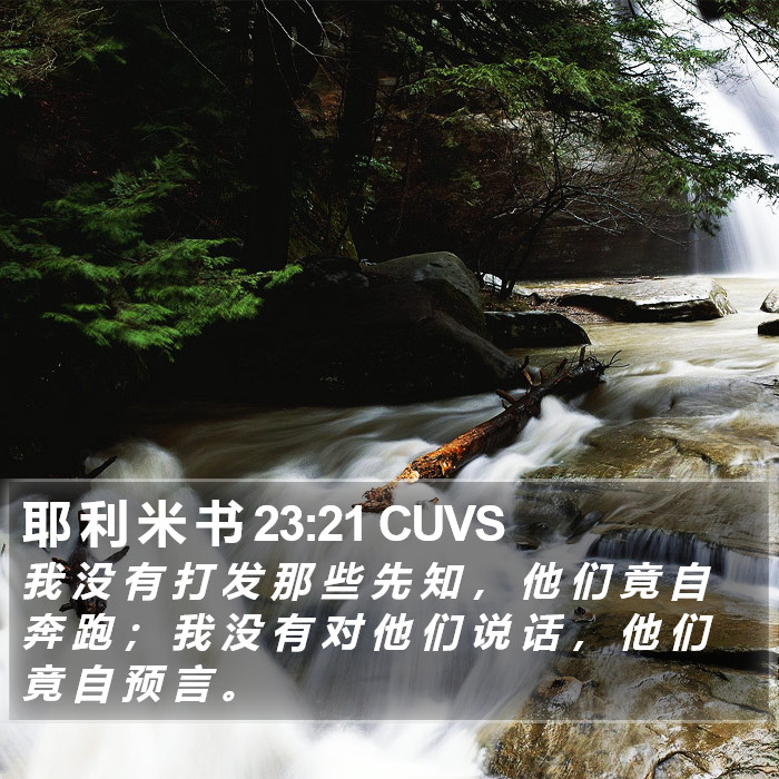 耶 利 米 书 23:21 CUVS Bible Study