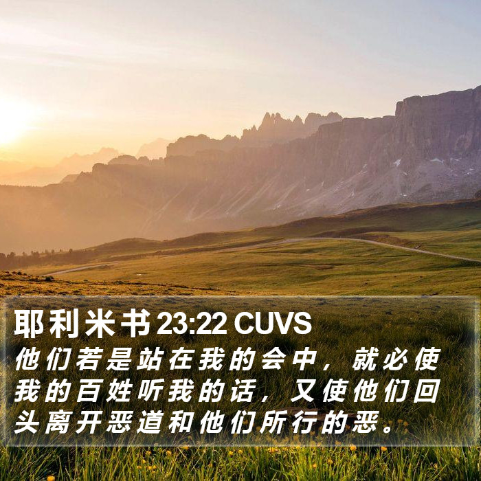 耶 利 米 书 23:22 CUVS Bible Study