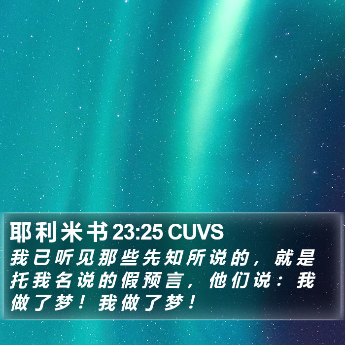 耶 利 米 书 23:25 CUVS Bible Study