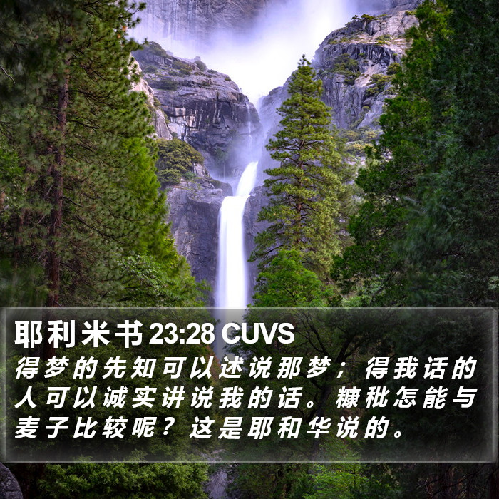 耶 利 米 书 23:28 CUVS Bible Study