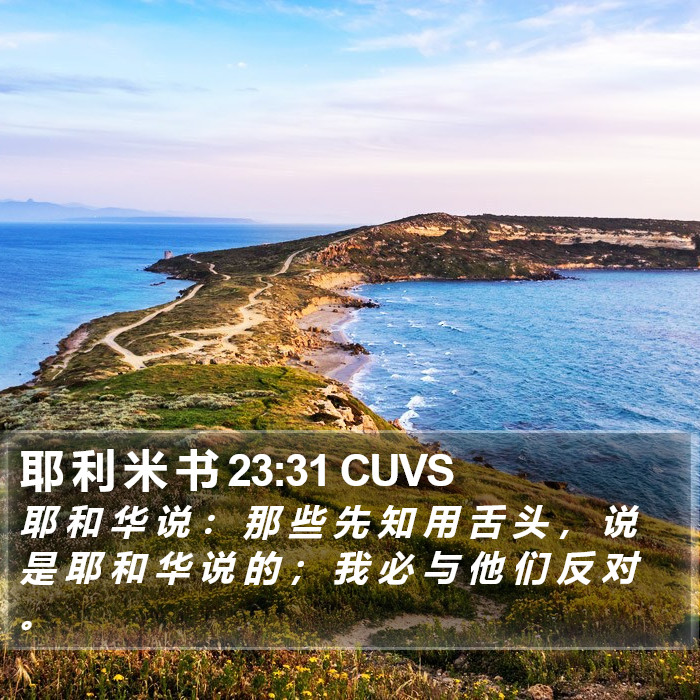 耶 利 米 书 23:31 CUVS Bible Study
