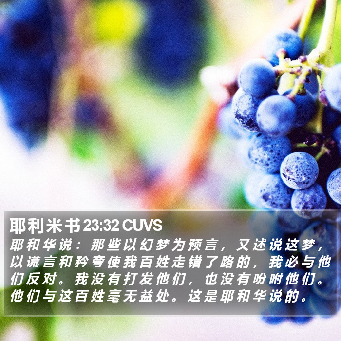 耶 利 米 书 23:32 CUVS Bible Study