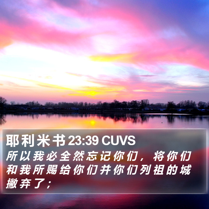 耶 利 米 书 23:39 CUVS Bible Study