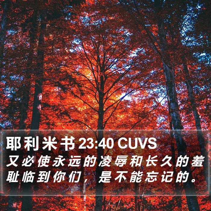 耶 利 米 书 23:40 CUVS Bible Study