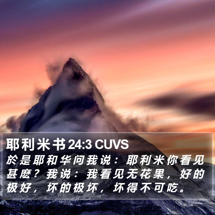 耶 利 米 书 24:3 CUVS Bible Study